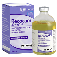 Recocam