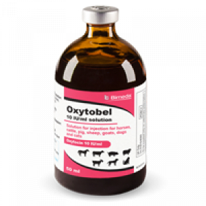 Oxytobel