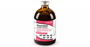 Oxytobel